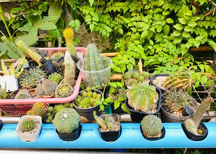 บ้านกลางสวนผึ้ง